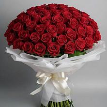 Букет 101 Красная роза Блэк Мэджик в Аскино