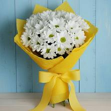 Букет цветов из:  Хризантемы в Аскино