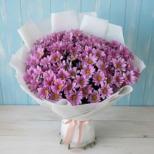 Букет цветов из:  Хризантемы #REPLACE_PRED# Аскино