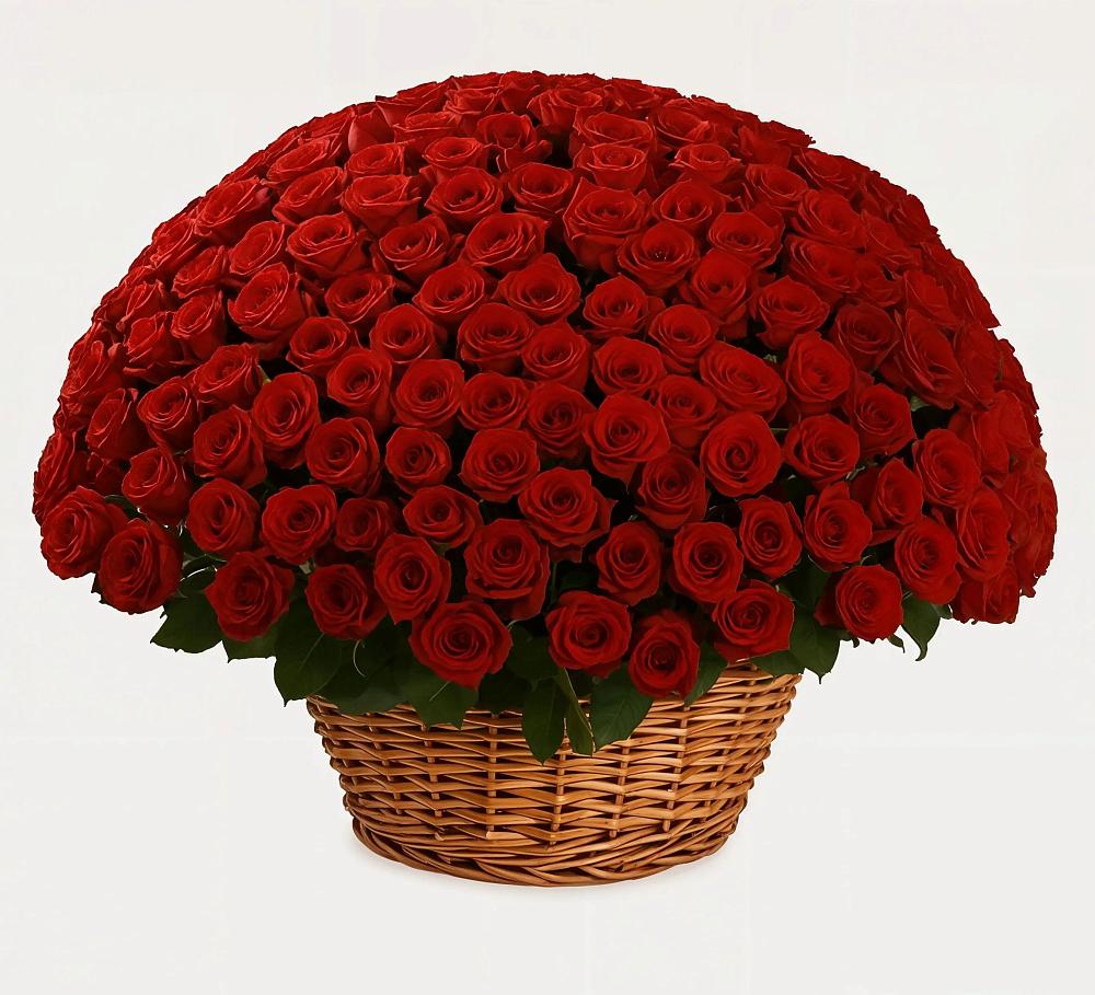 Премиум букет из: Розы в Аскино