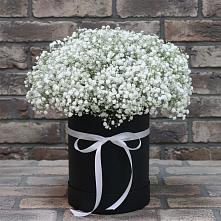 Цветочная композиция из Гипсофила в шляпной коробке #REPLACE_PRED# Аскино