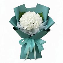 Букет цветов из:  Гортензия в Аскино